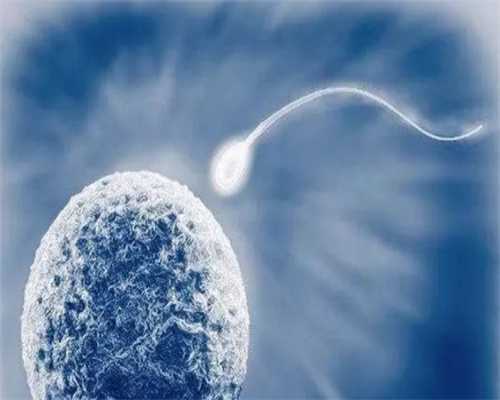 做供卵试管的流程是什么？