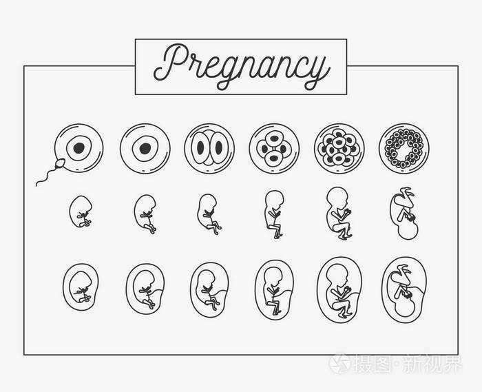 香港正规代怀孕，2022年香港特别行政区供卵试管助孕医院排名，内附试管成功率及供卵现状