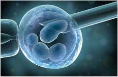 amh15卵巢早衰患者长期吃维生素E后能怀孕吗？