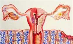 怀孕咽喉炎对胎儿的影响