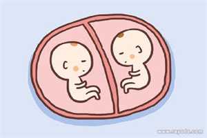 怀孕二十三周胎盘太低怎么办